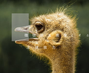 微信朋友圈發(fā)布辭職聲明是否具備法律效力？